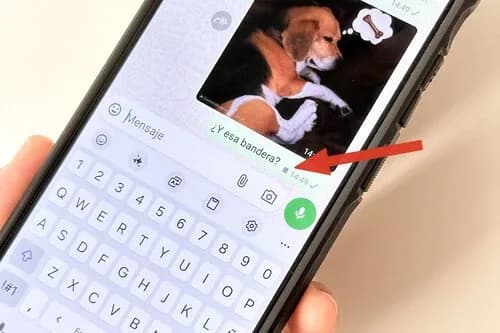 Qué es el icono de la bandera de WhatsApp y para qué sirve esta función en iPhone