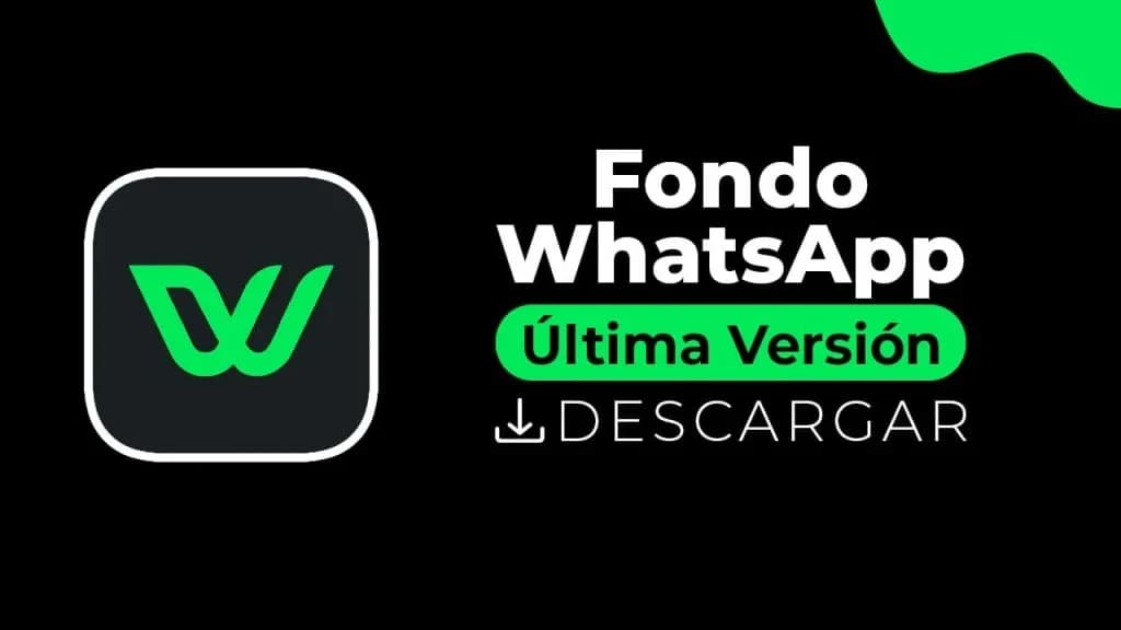 Fondo WhatsApp